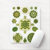 Haeckel Mousepad (Mit Mouse)