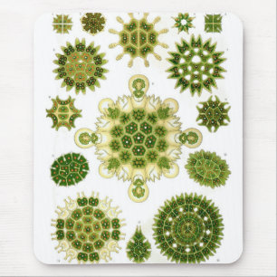 Haeckel Mousepad