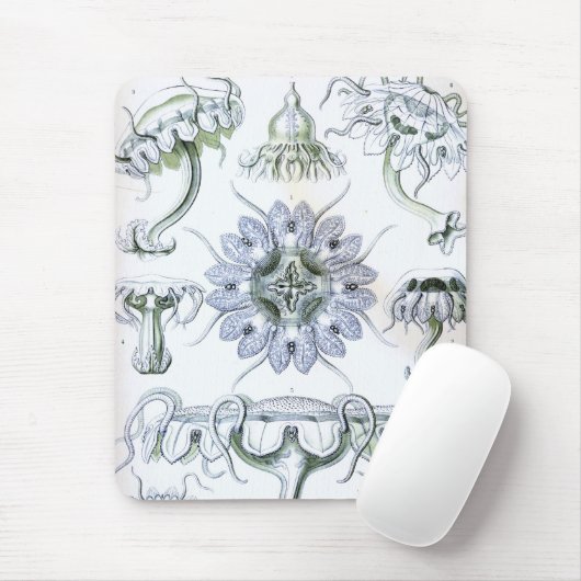 Haeckel Mousepad (Mit Mouse)