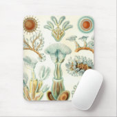 Haeckel Mousepad (Mit Mouse)