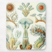 Haeckel Mousepad (Vorne)