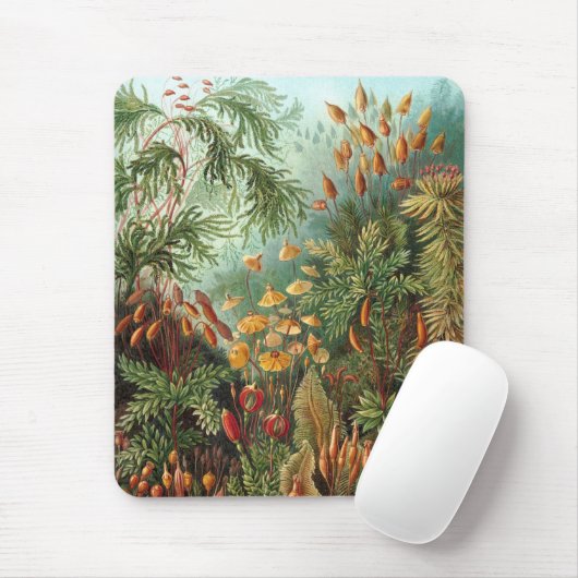 Haeckel Mousepad (Mit Mouse)