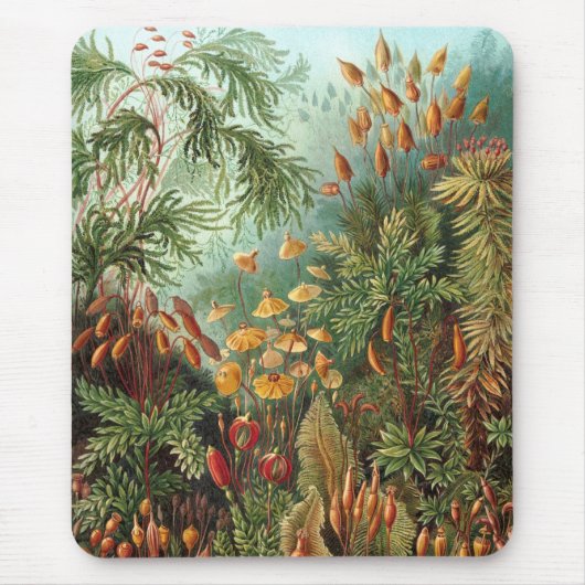 Haeckel Mousepad (Vorne)