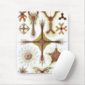 Haeckel Mousepad (Mit Mouse)