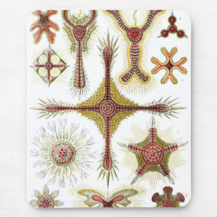 Haeckel Mousepad