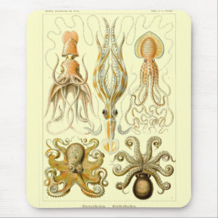 Haeckel Mousepad