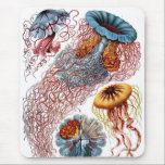 Haeckel Mousepad<br><div class="desc">Haeckel mousepad.</div>