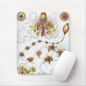 Haeckel Mousepad (Mit Mouse)