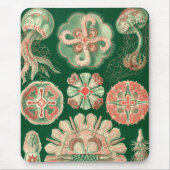 Haeckel Mousepad (Vorne)