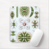 Haeckel Mousepad (Mit Mouse)
