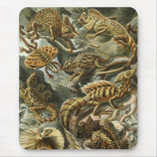 Haeckel Mousepad