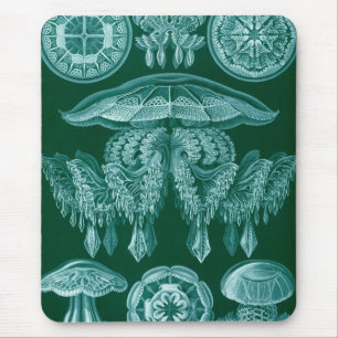 Haeckel Mousepad