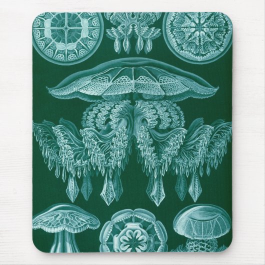 Haeckel Mousepad (Vorne)