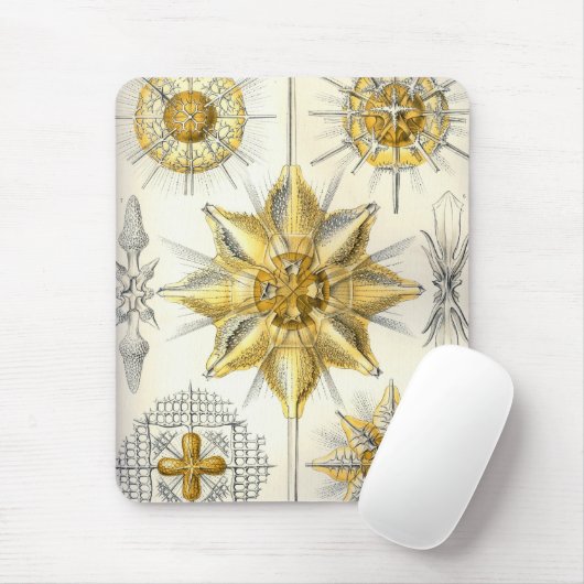 Haeckel Mousepad (Mit Mouse)