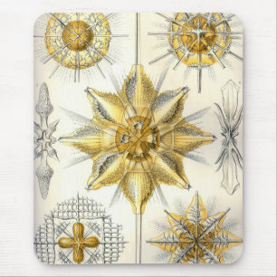 Haeckel Mousepad