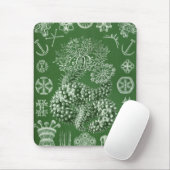 Haeckel Mousepad (Mit Mouse)