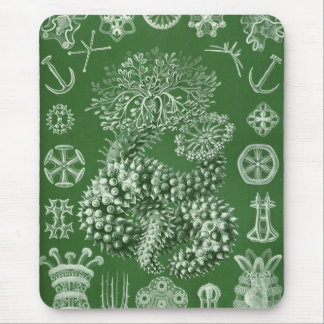 Haeckel Mousepad