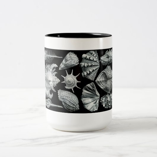Haeckel Muschel-Tasse Zweifarbige Tasse (Mittel)