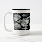 Haeckel Muschel-Tasse Zweifarbige Tasse (Links)