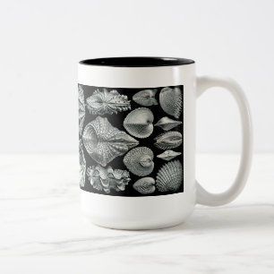 Haeckel Muschel-Tasse Zweifarbige Tasse