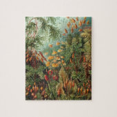 Haeckel Muscinae Puzzle (Vertikal)