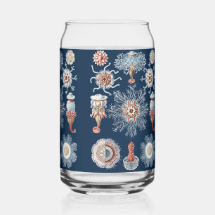 Haeckel Natur Kunst Siphonophorae Antikes Druckwer Dosenglas