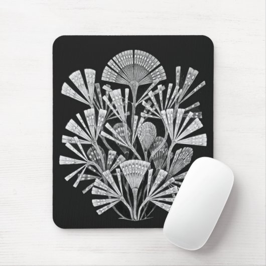 Haeckel Negativ Mousepad (Mit Mouse)