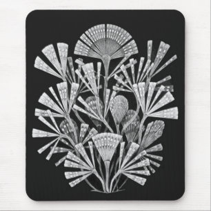 Haeckel Negativ Mousepad