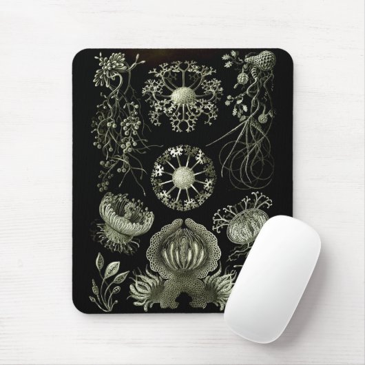 Haeckel Negativ Mousepad (Mit Mouse)