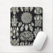Haeckel Negativ Mousepad (Mit Mouse)