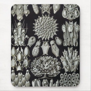 Haeckel Negativ Mousepad