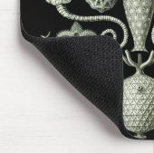 Haeckel Negativ Mousepad (Ecke)