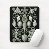 Haeckel Negativ Mousepad (Mit Mouse)