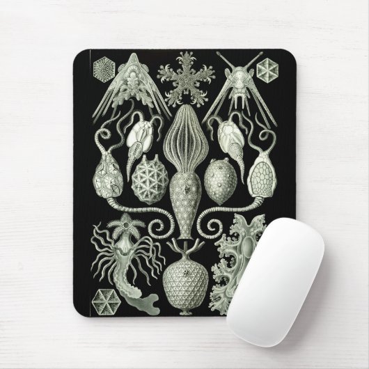 Haeckel Negativ Mousepad (Mit Mouse)