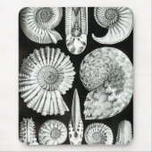 Haeckel Negativ Mousepad (Vorne)