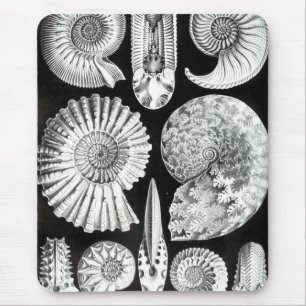 Haeckel Negativ Mousepad
