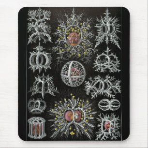 Haeckel Negativ Mousepad