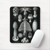 Haeckel-Negativ Mousepad (Mit Mouse)