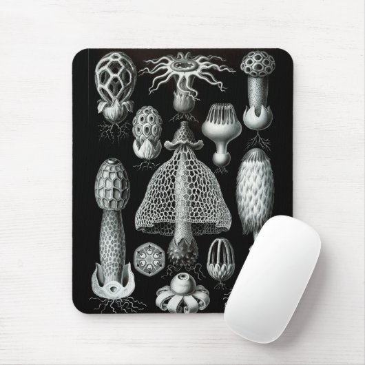 Haeckel-Negativ Mousepad (Mit Mouse)