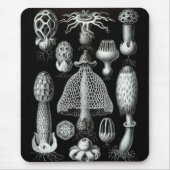 Haeckel-Negativ Mousepad (Vorne)