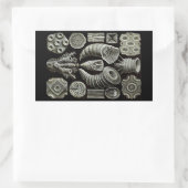 Haeckel Negativ Rechteckiger Aufkleber (Tasche)