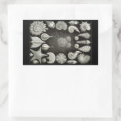 Haeckel Negativ Rechteckiger Aufkleber (Tasche)