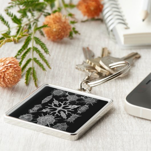 Haeckel Negativ Schlüsselanhänger (Seite)