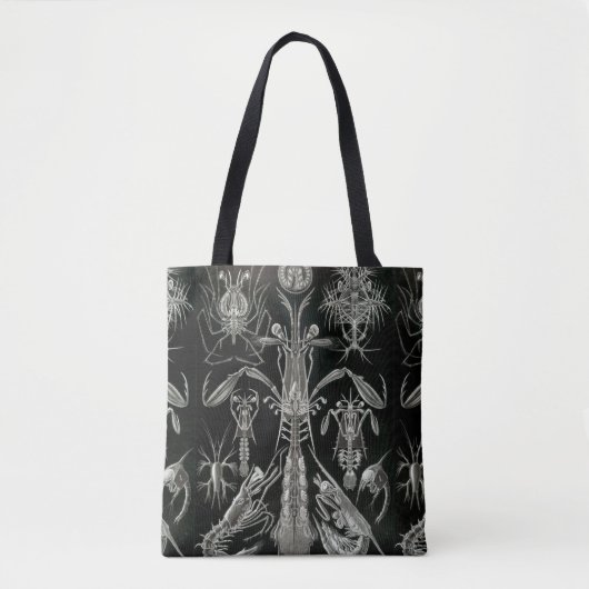 Haeckel Negativ Tasche (Vorderseite)