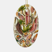 Haeckel Nepenthaceae Keramik Ornament (Rechts)
