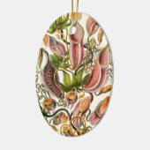 Haeckel Nepenthaceae Keramik Ornament (Links)