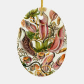 Haeckel Nepenthaceae Keramik Ornament (Vorne)