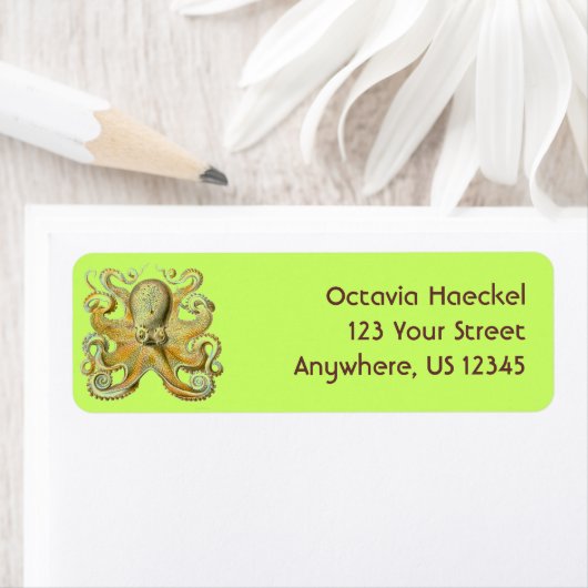 Haeckel Octopus (Insitu)
