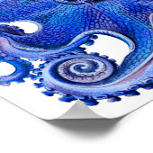 Haeckel Octopus Blue Poster (Ecke)