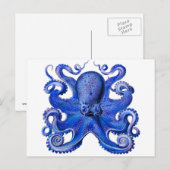 Haeckel Octopus Blue Postkarte (Vorne/Hinten)
